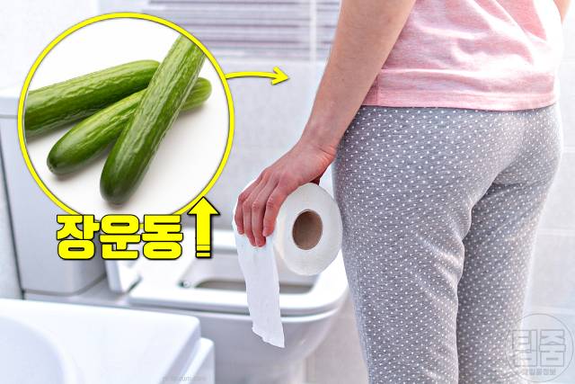 오이 효능 변비 소화불량 오이 매일 먹으면