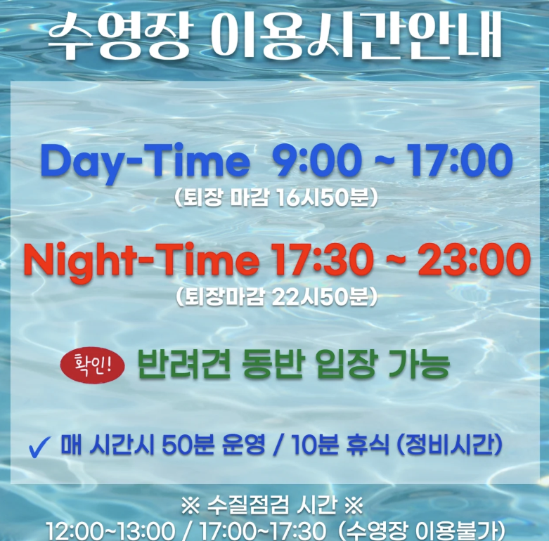 파주 뮌스터담 수영장 완벽 가이드