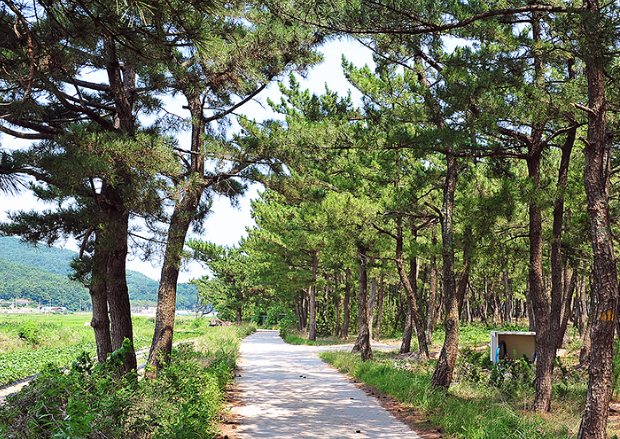 고성 가볼만한곳 베스트10