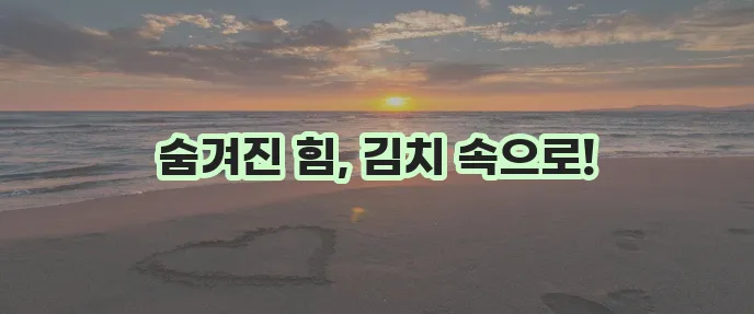 김치의 효능과 건강한 섭취 방법