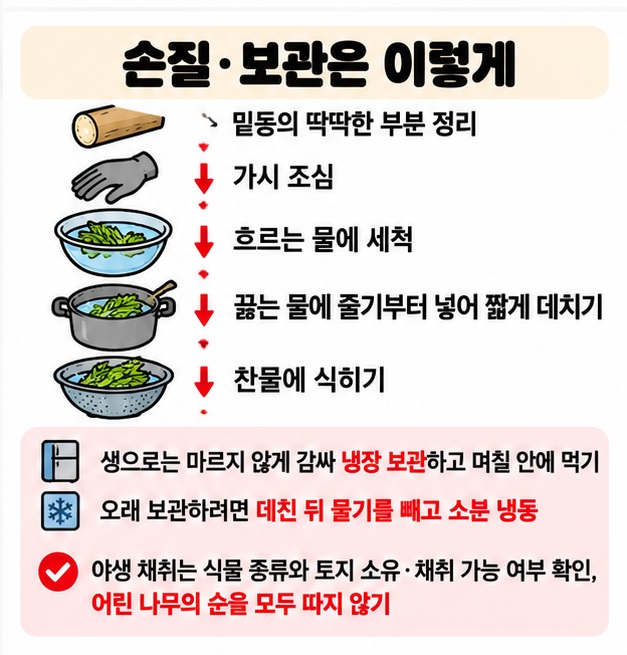 엄나무순 밑동과 가시를 정리해 씻고 짧게 데쳐 먹으며 냉장 또는 데친 뒤 냉동 보관하는 카드