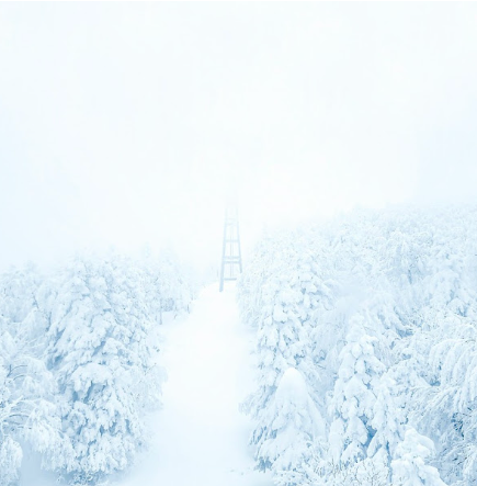 피나클랜드 수목원 계절_겨울 Winter