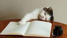 시험 망치는 꿈 해몽풀이 [무료 꿈해몽]