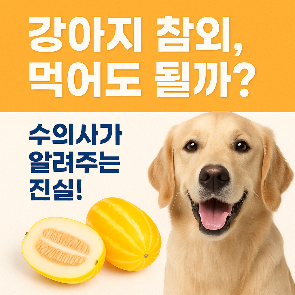 강아지 참외, 먹여도 될까? 여름철 필수과일 급여 가이드