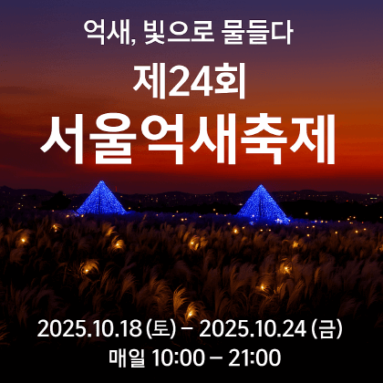 가을 감성 폭발! 제24회 서울억새축제 일정&middot;볼거리&middot;야경 포인트 정리