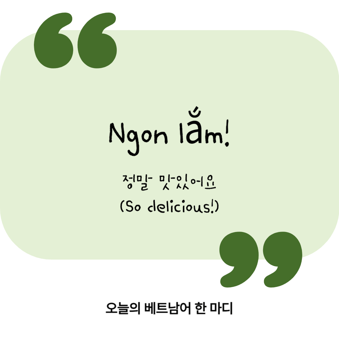 [오늘의 베트남어 한 마디] 정말 맛있어요 &ndash; Ngon lắm!
