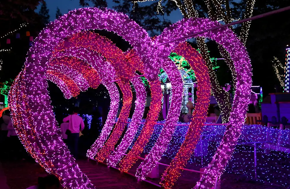 겨울 여행지 추천 청도 프로방스