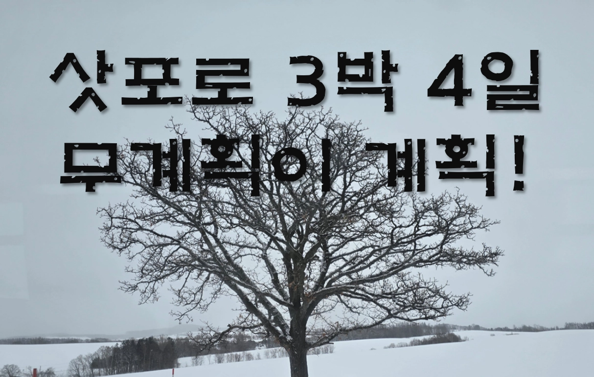 [삿포로 3박 4일] 무계획이 계획! 에어텔로 가성비와 편안함 다 잡은 여행 준비