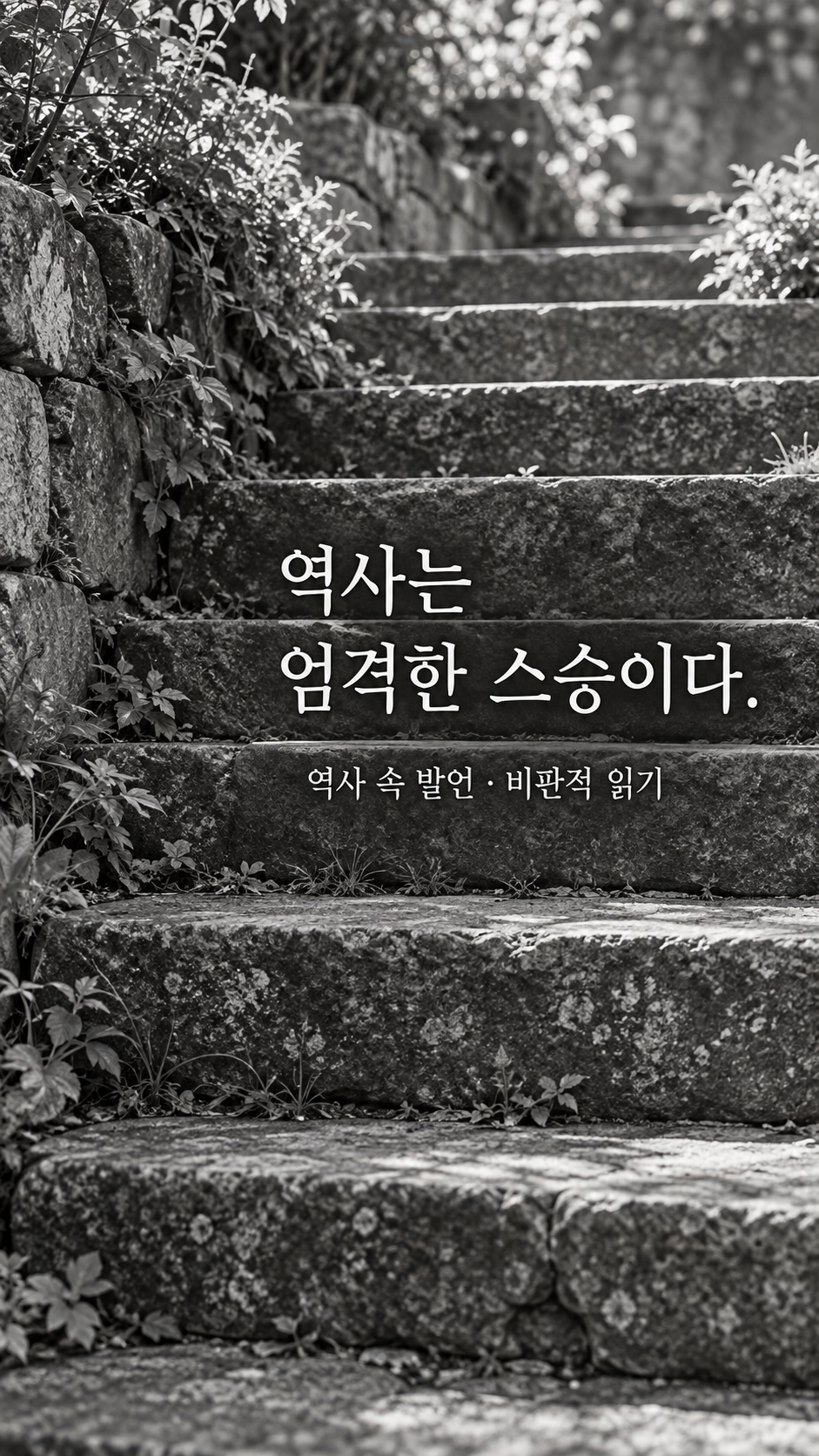 오래된 돌계단과 그 사이 자란 작은 풀 — 역사는 엄격한 스승이다.