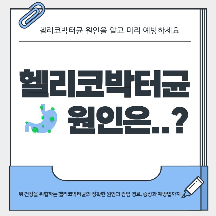 헬리코박터균 원인