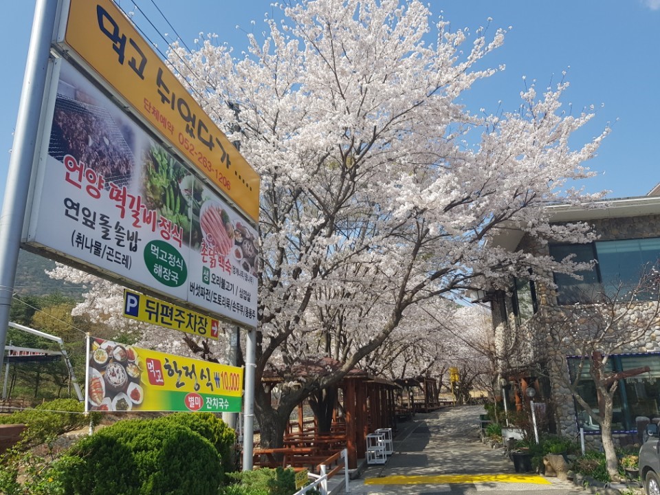 언양불고기 먹고쉬었다가