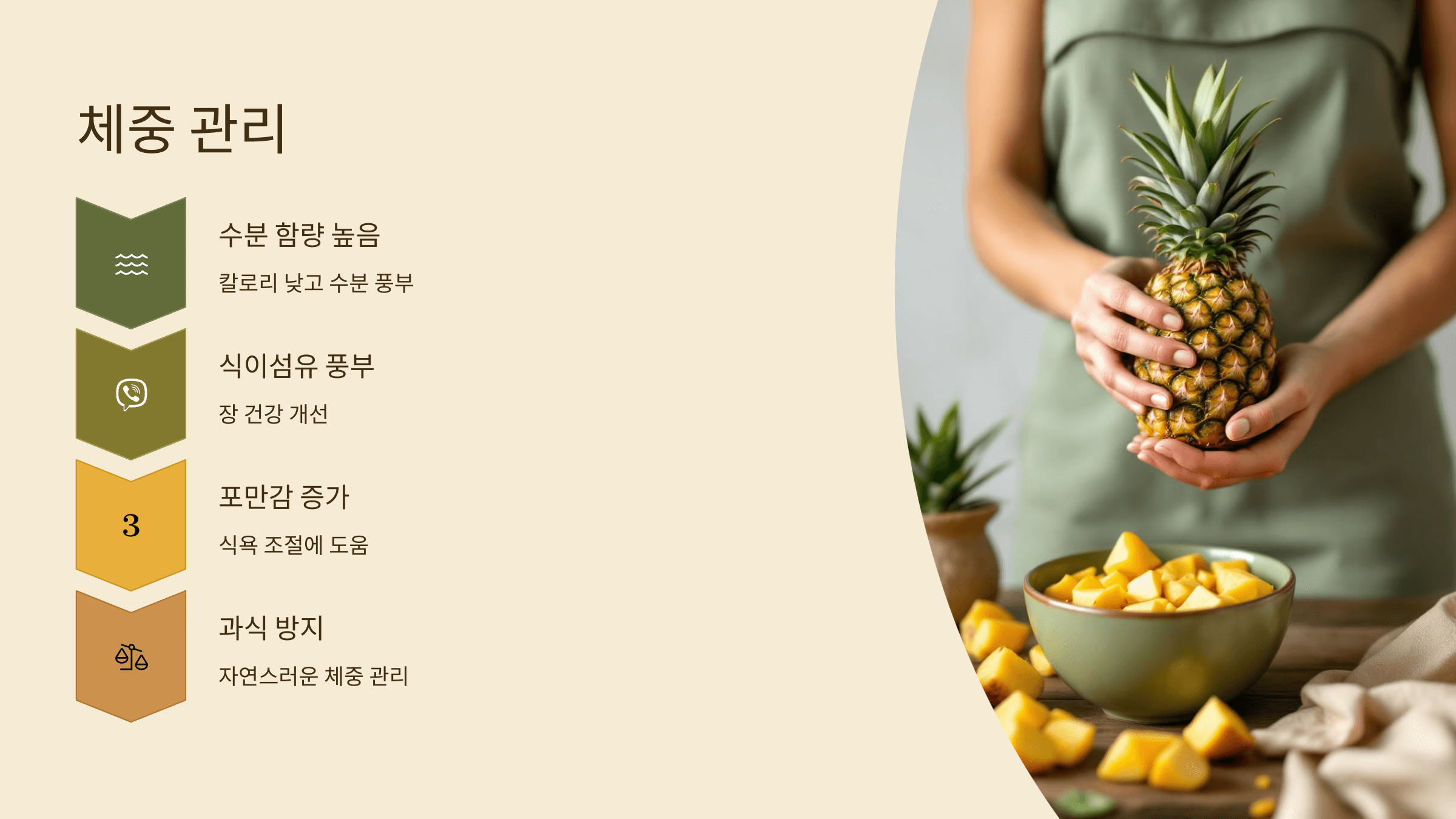 파인애플 사진입니다.