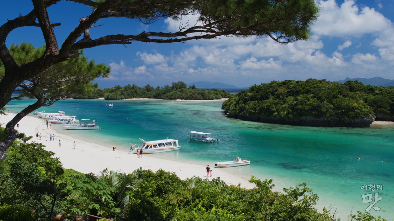 이시가키 투어보트