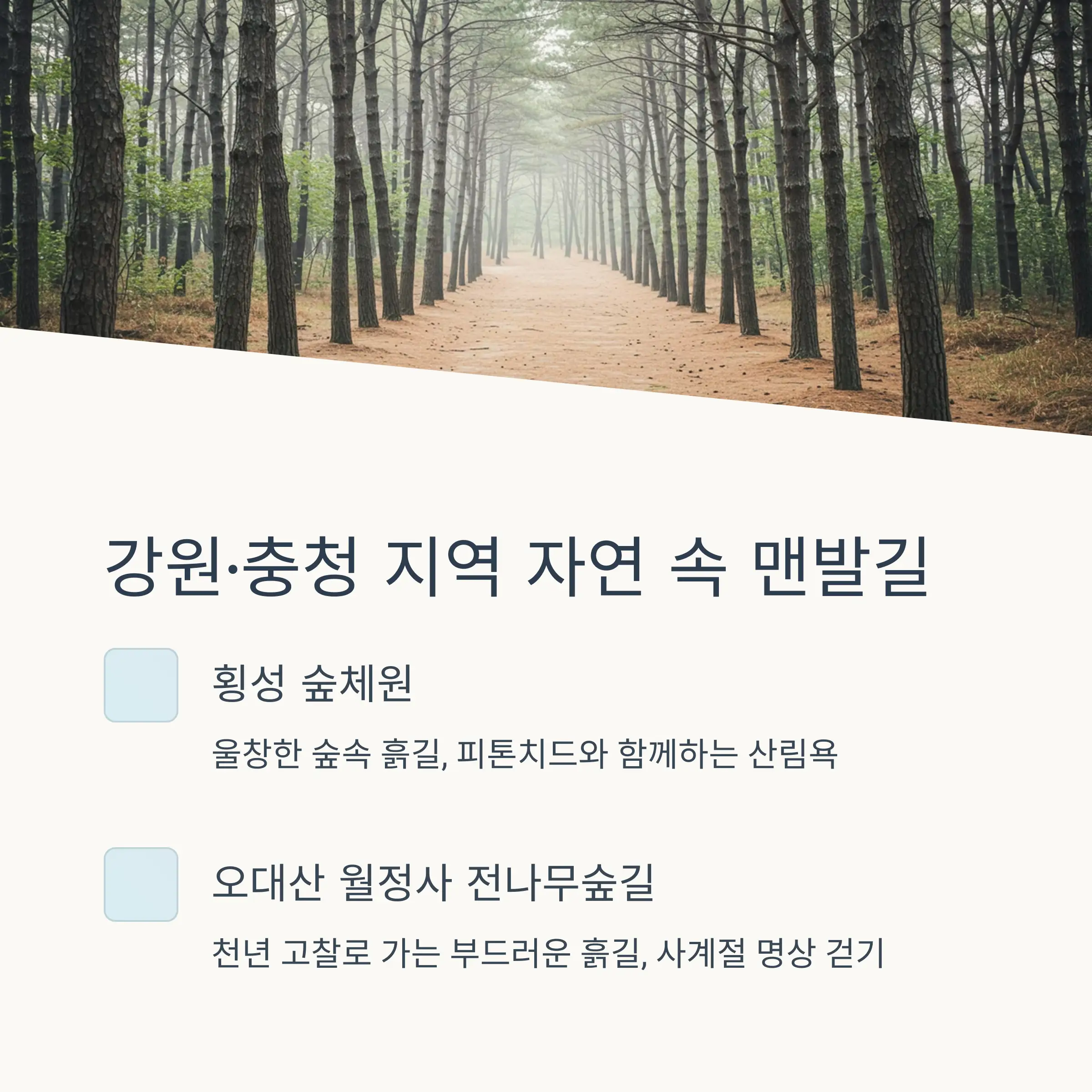 🌾 전라·경상 지역 특색 맨발길