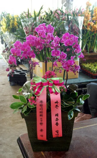 쾌유를 바라는 글귀 이미지 다운로드_14