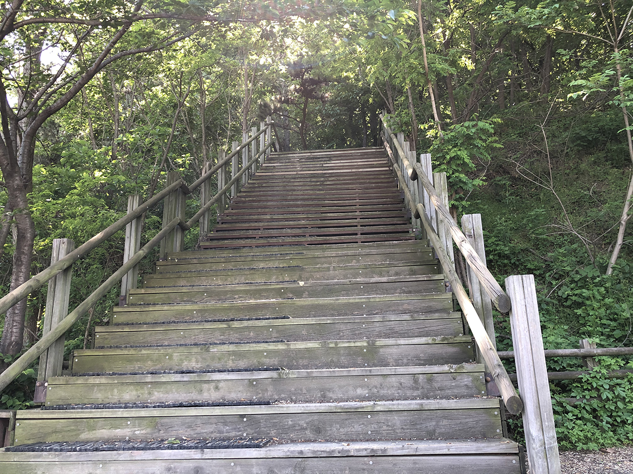 만월산 등산 계단