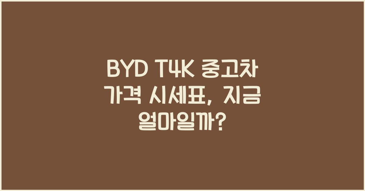 BYD T4K 중고차 가격 시세표