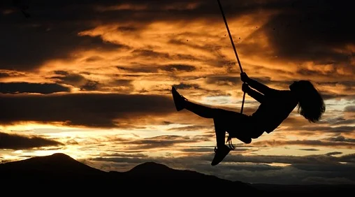 반려동물 자격증 창업 취업