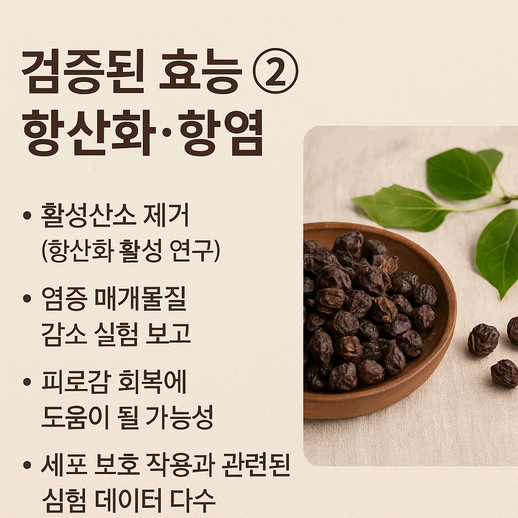 헛개나무열매