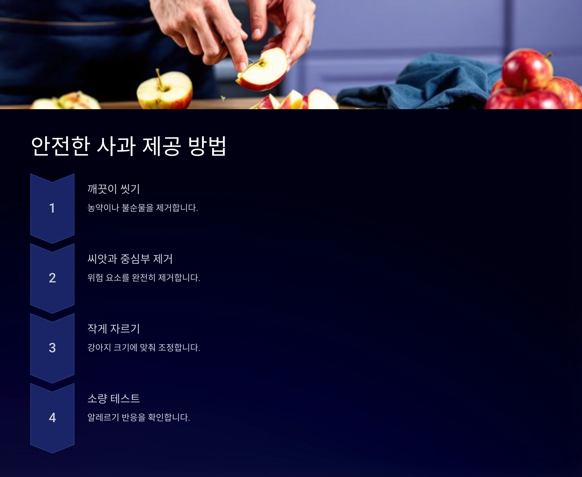 강아지에게 안전한 사과 제공 방법