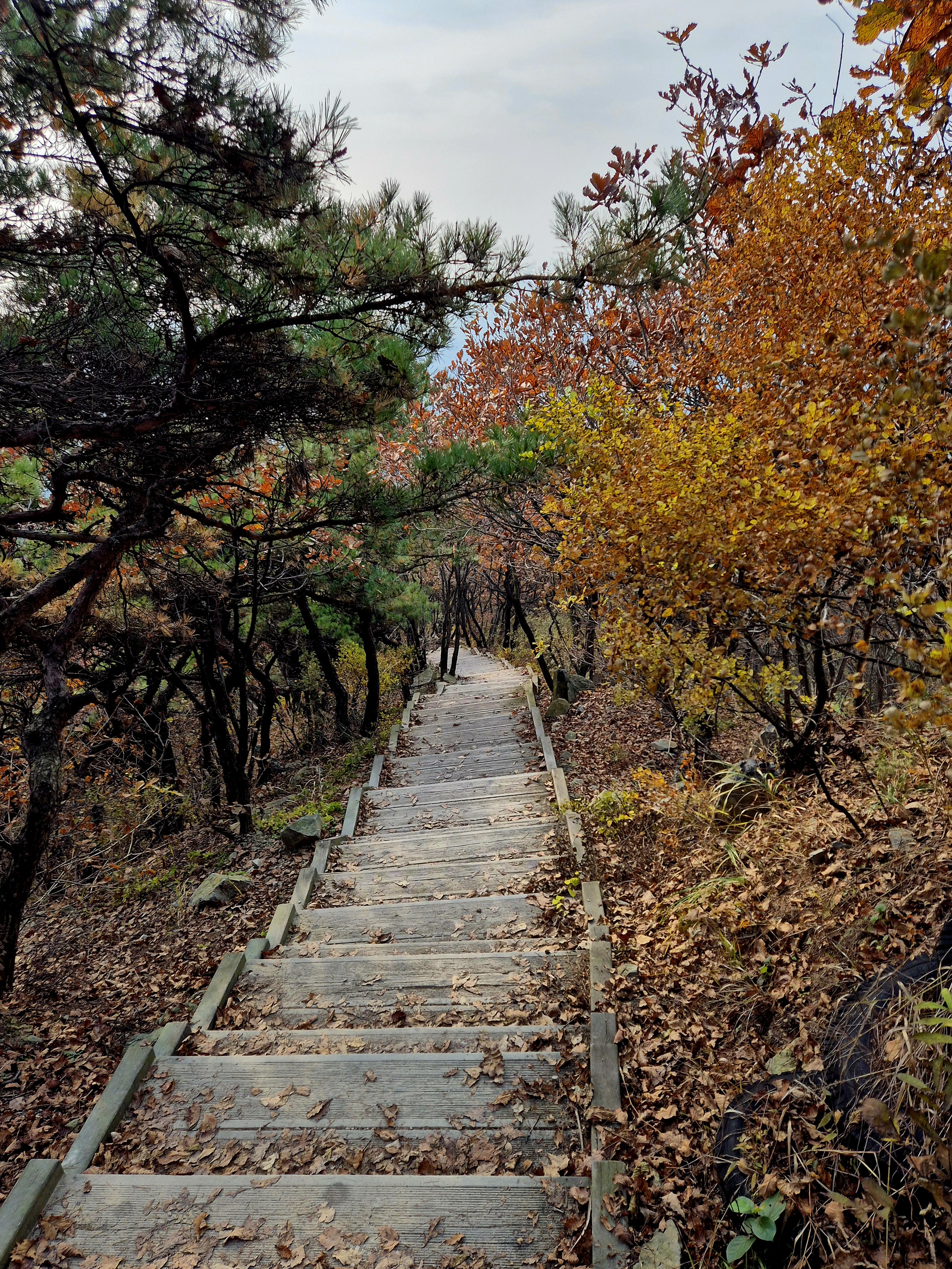 계양산 인천둘레길 내려오는 길