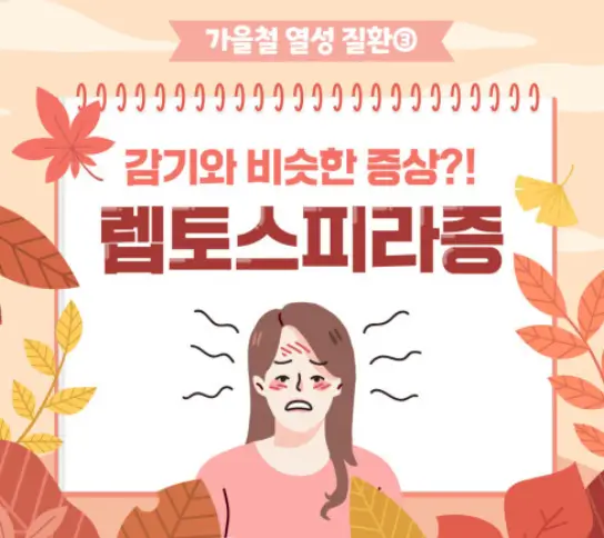 렙토스피라증