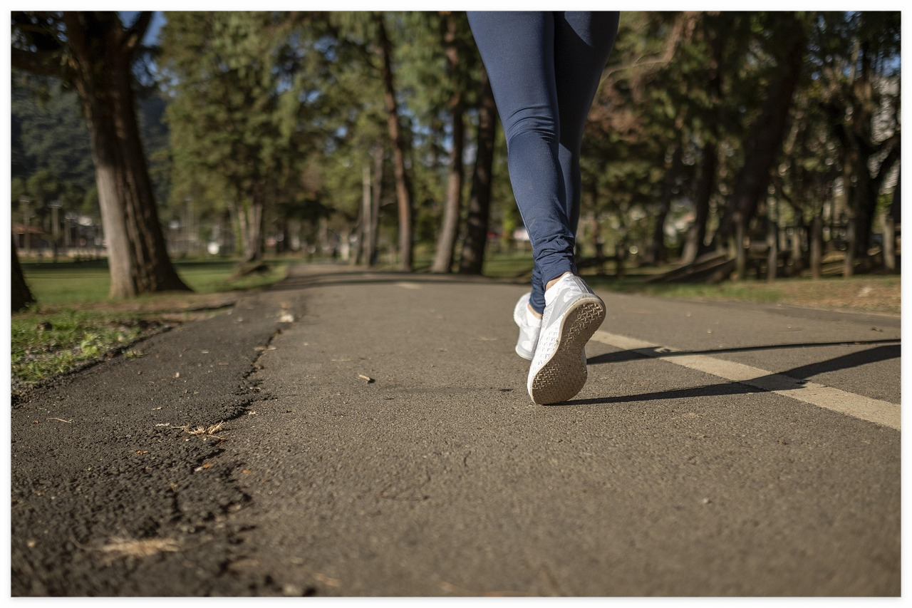 스위치온 다이어트