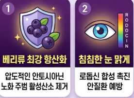 아로니아 효능
