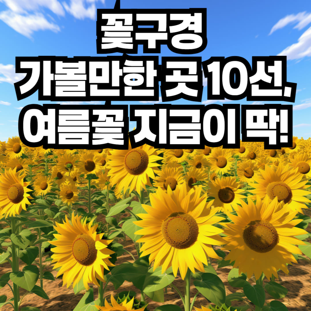 꽃구경 가볼만한곳 여름꽃 명소 10선 썸네일