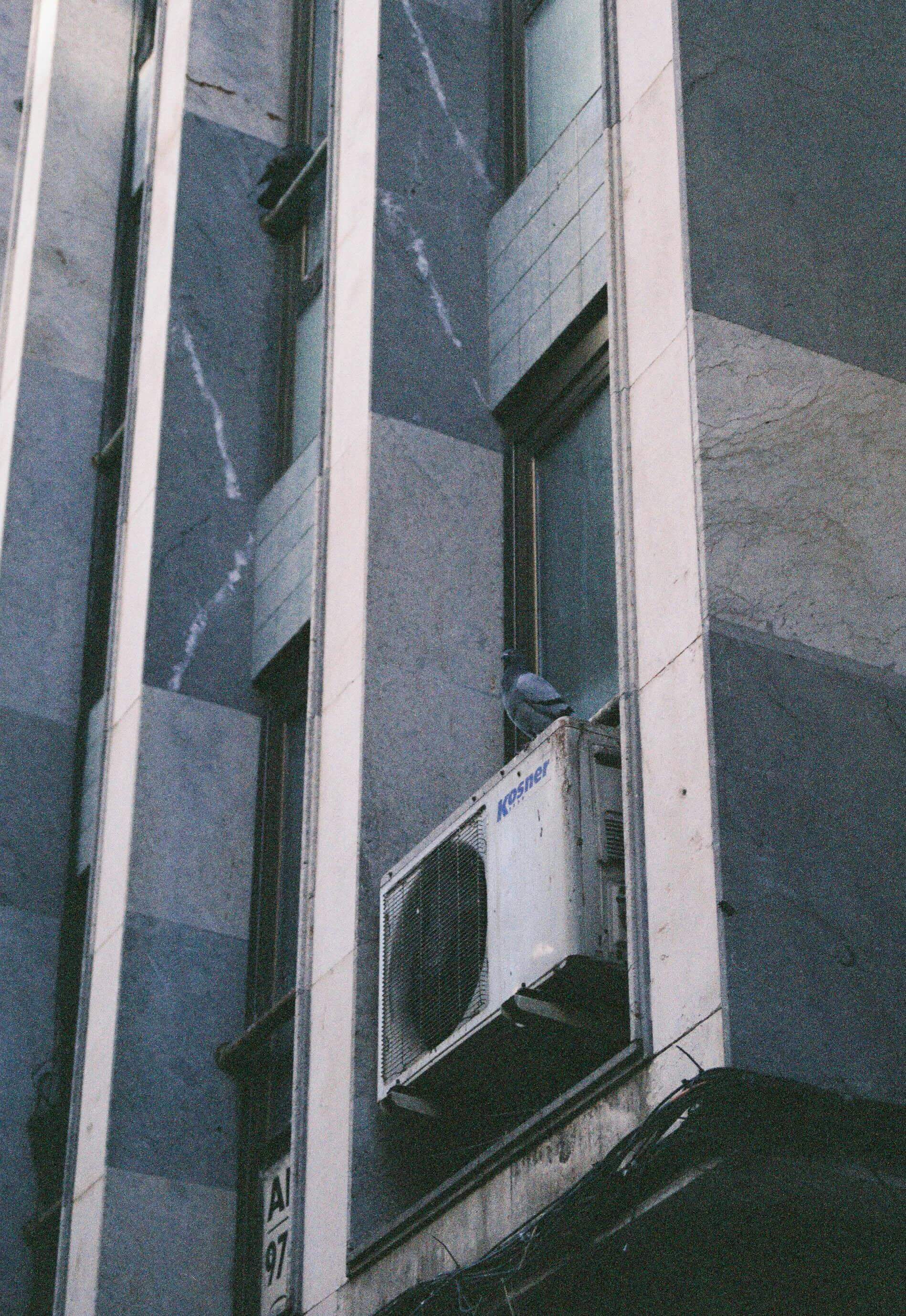 냉방병에-걸리지-않기-위한-여러가지-방법에-관련된-사진들