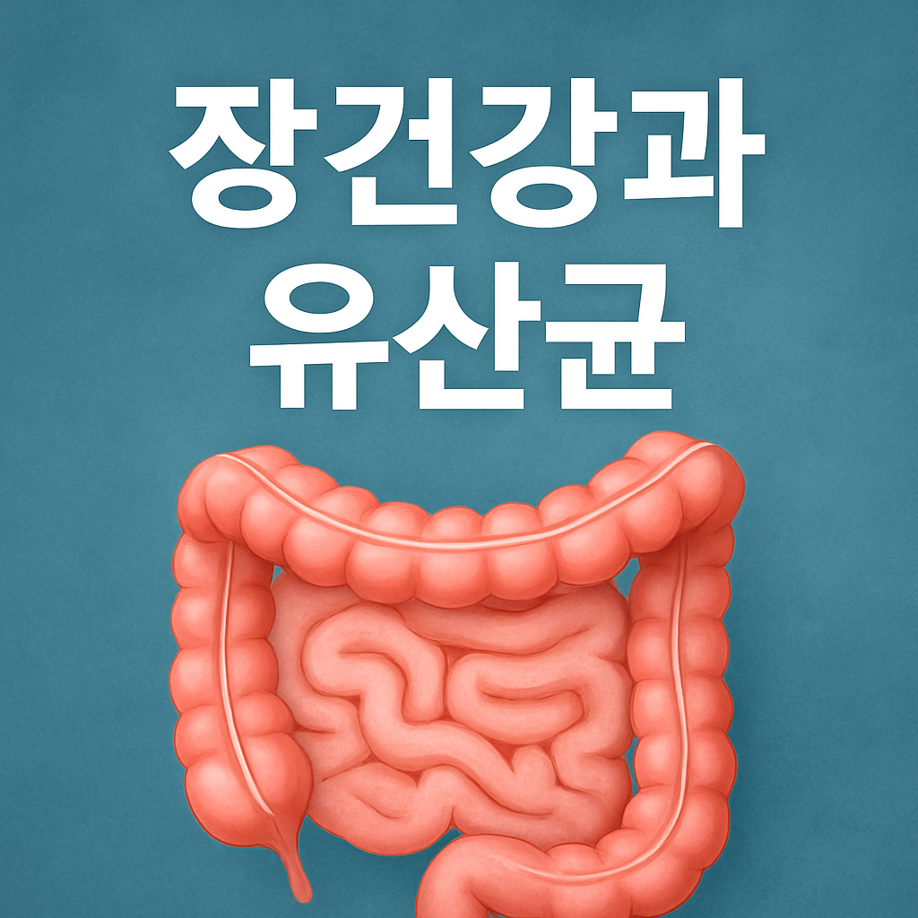 장건강과 유산균 이미지