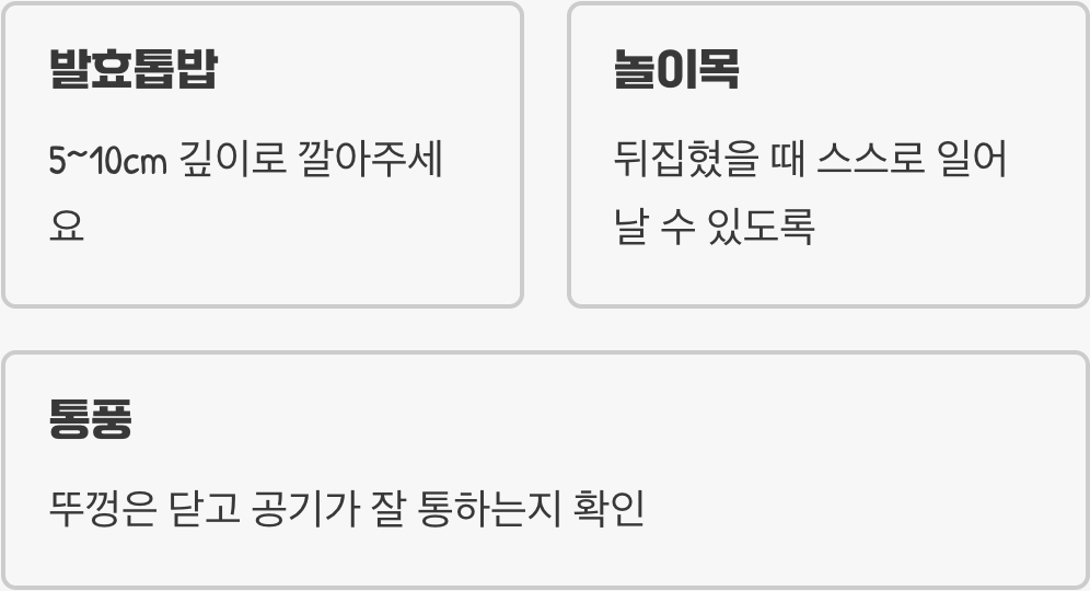 1. 첫 보금자리, 편안한 숲속 환경 꾸미기