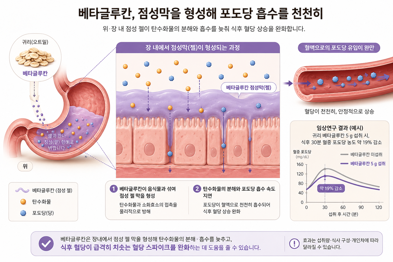 베타글루탄, 점성막을 형성해 포도당 흡수를 천천히