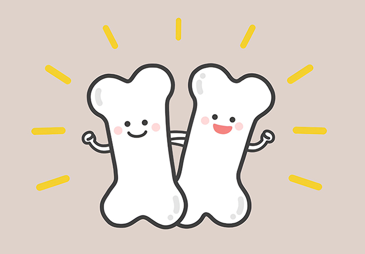 뼈-형성-촉진