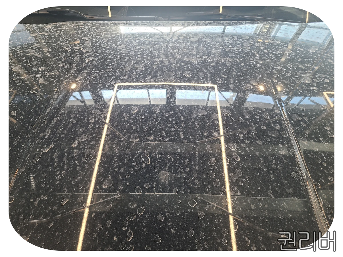 물때 넘치는 보닛