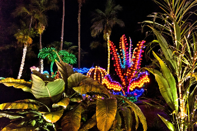 일본 겨울에 꼭 가봐야 할 야경 명소: 환상적인 밤 풍경을 만나다