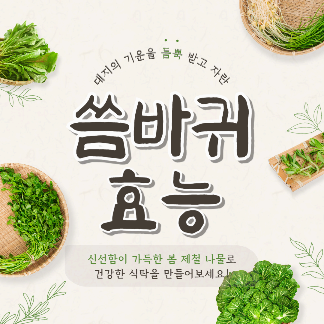 씀바귀 효능 10가지! 건강에 좋은 이유와 섭취법