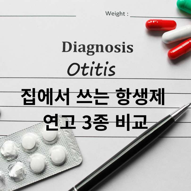 여름철 질병 외이도염 연고 효과