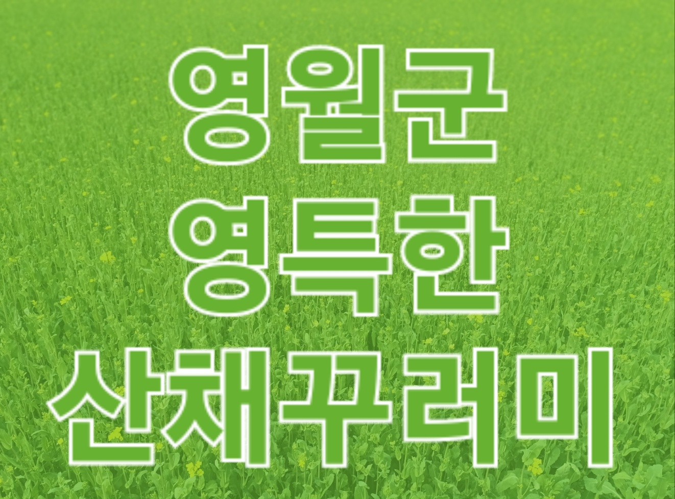 영월의 봄을 담은 '영특한 산채 꾸러미' 예약판매 시작!