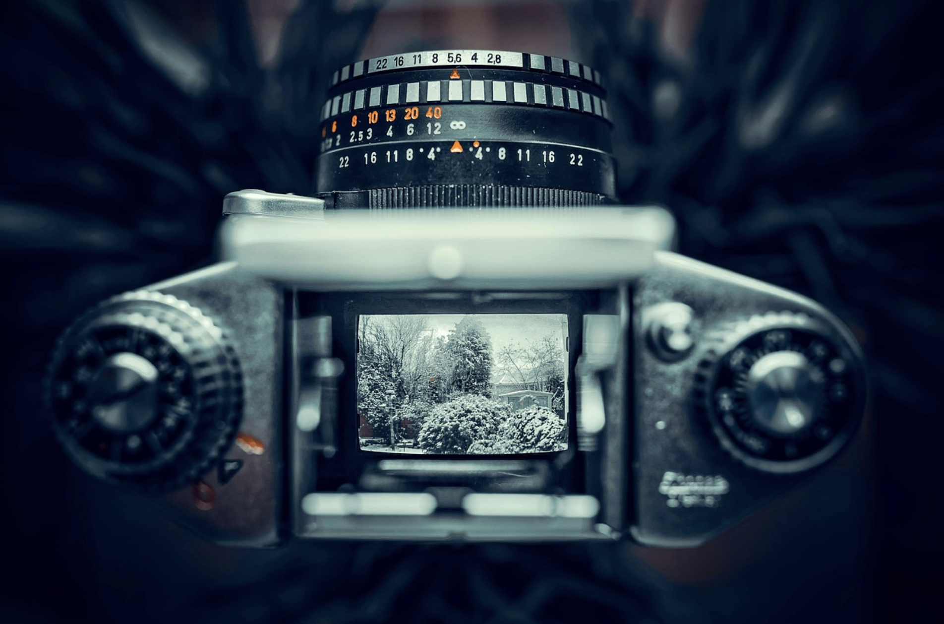 무료 이미지 사이트 BEST 5