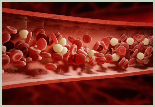 백혈구 수치가 낮을 때 대처 방법