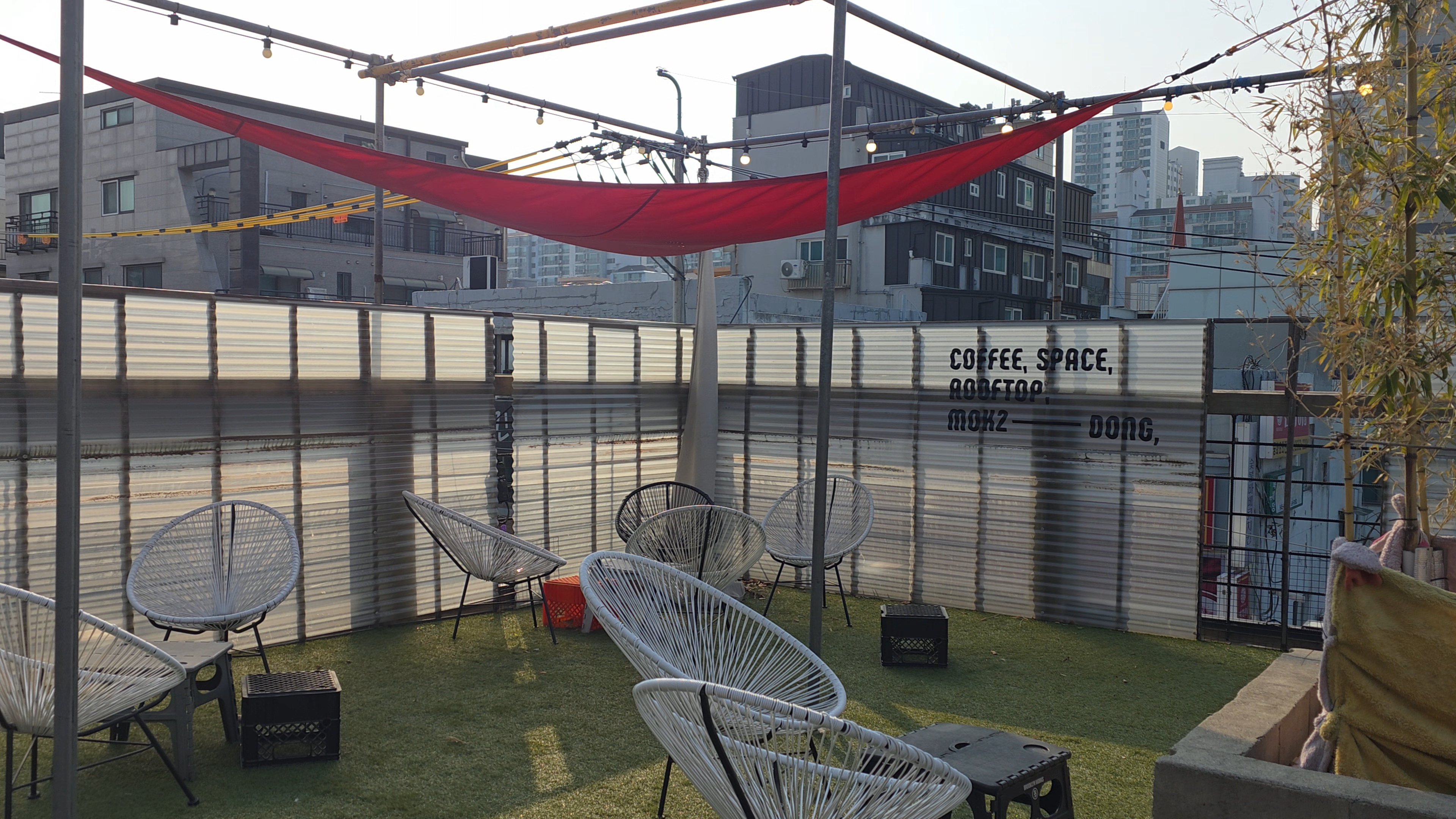 반려견과 함께한 친화적인 스페이스530 카페 방문기