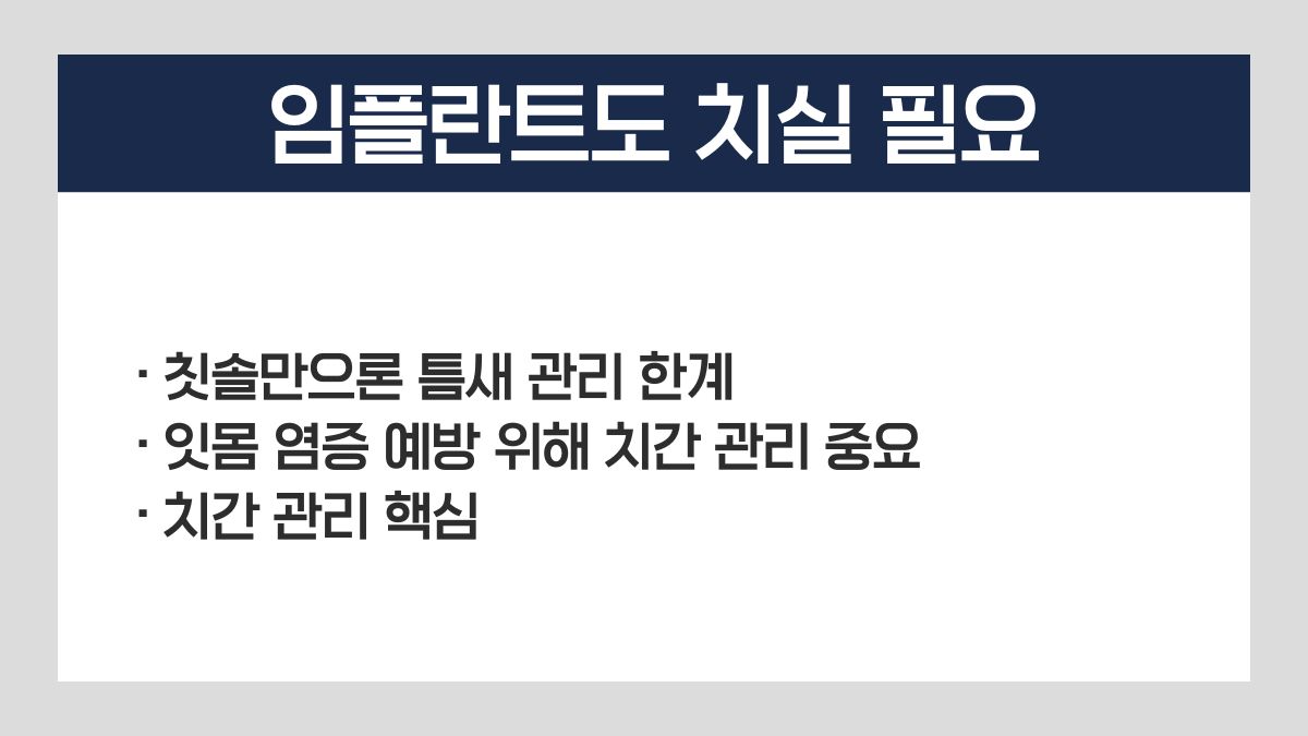임플란트 치실