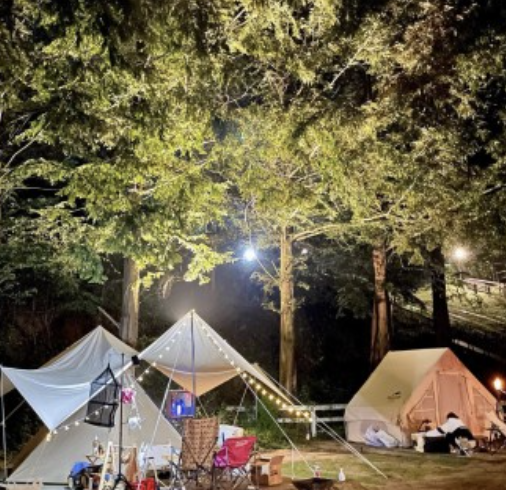 화성 반달곰이 살던 숲 야외 이미지