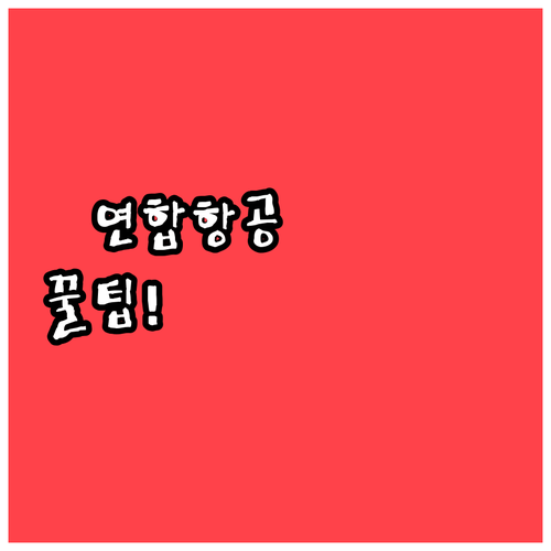 인천공항 중국연합항공 이용 시 알아야..