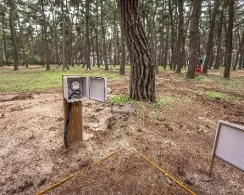 연곡 솔향기 캠핑장 c 구역_3