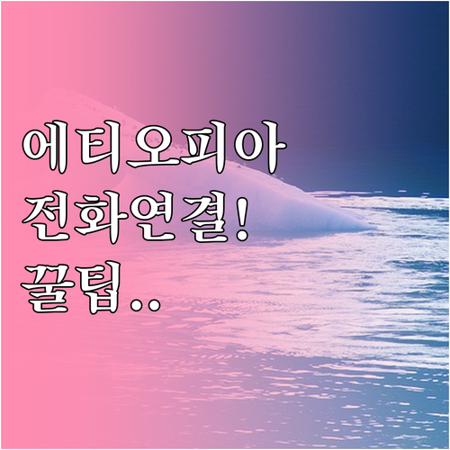 에티오피아항공 고객센터 전화 연결 팁..