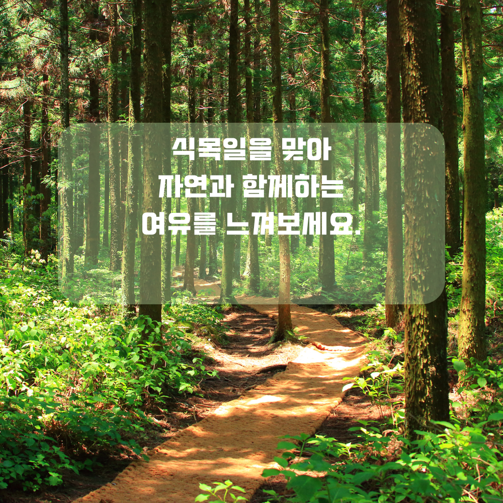 4월 인사말 식목일 인사글귀 좋은 글 문구 나무 숲 사진 이미지 모음집