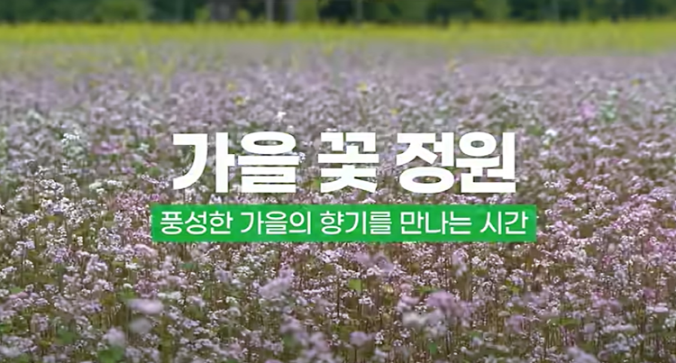 포천 한탄강 가든페스타
