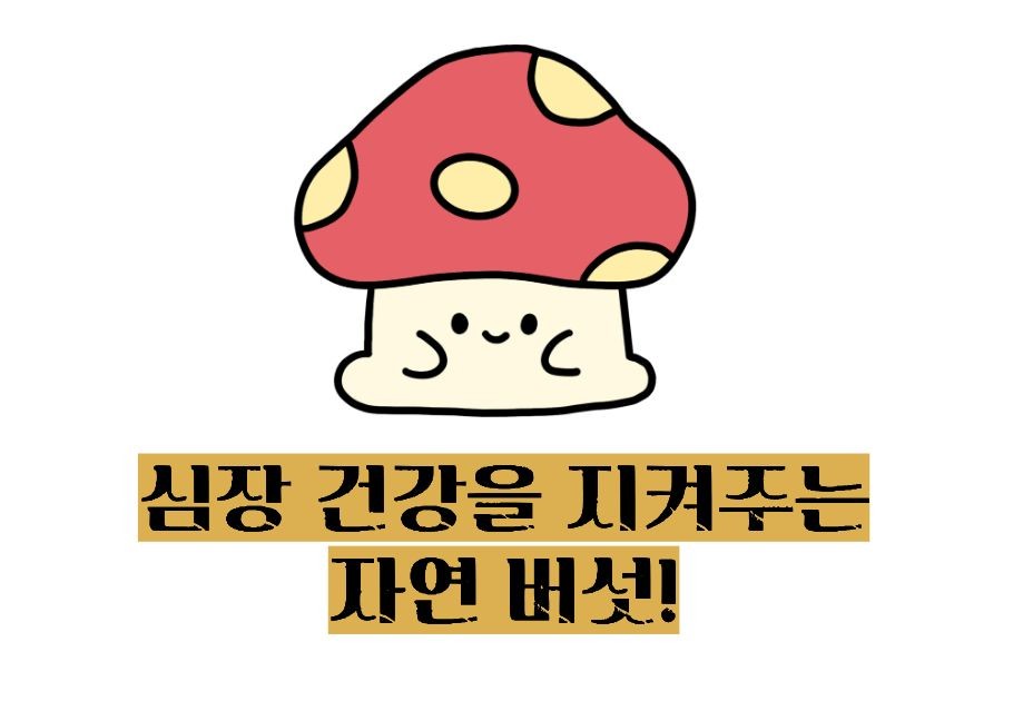 상황버섯 효능 부작용